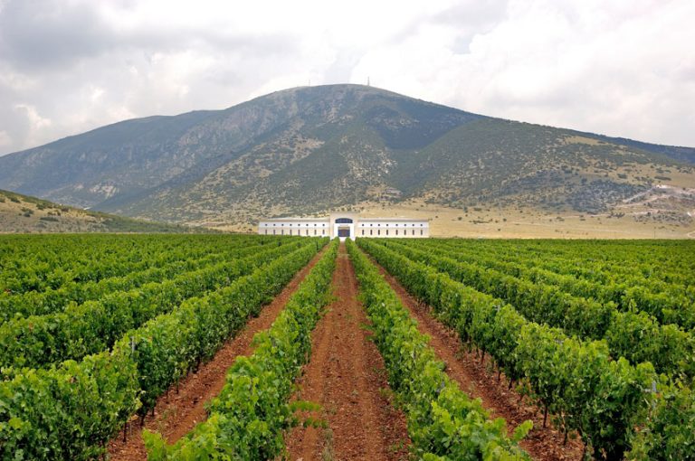 Δραμοινογνωσία: Ανακαλύπτοντας την ψυχή των αποσταγμάτων της Δράμας